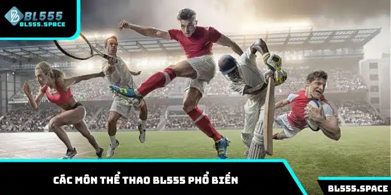 Thể Thao 1 Tổng hợp các môn thể thao phổ biến tại BL555