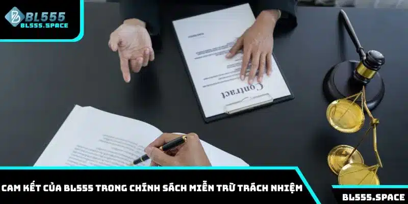 Cam kết của BL555 trong chính sách miễn trừ trách nhiệm