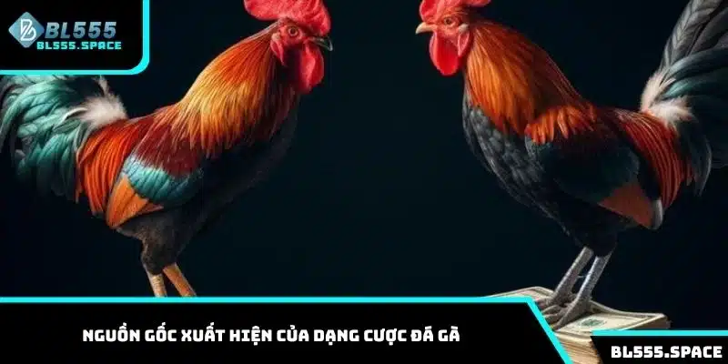 Đá Gà 1 Nguồn gốc xuất hiện của dạng cược đá gà